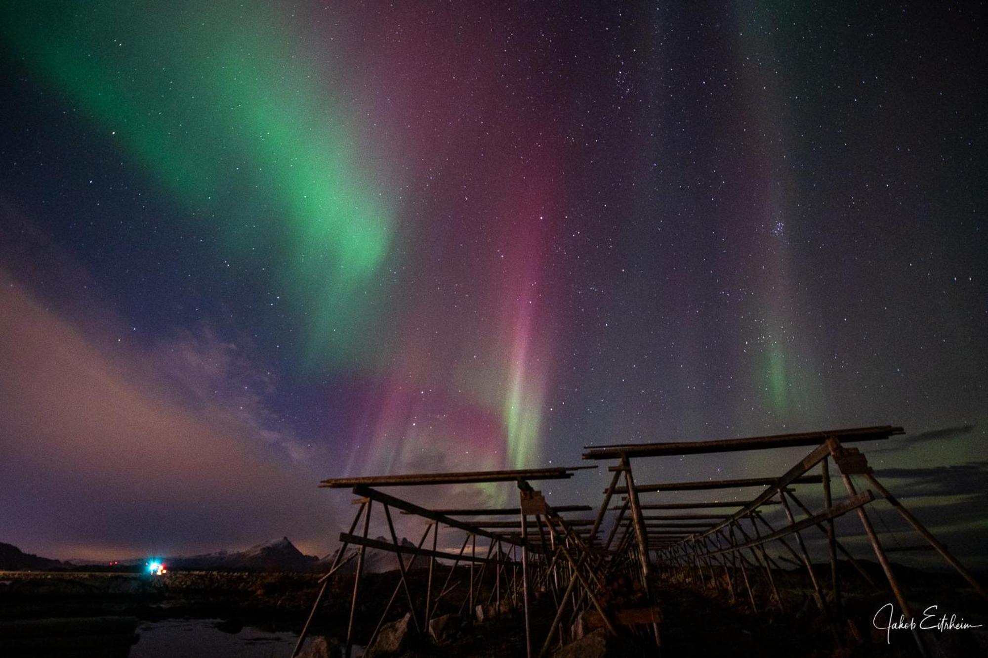 Fish Factory -The Real Lofoten Experience Ballstad Exteriér fotografie